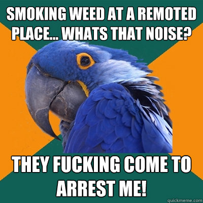smoking weed at a remoted place... whats that noise? they fucking come to arrest me!  Paranoid Parrot