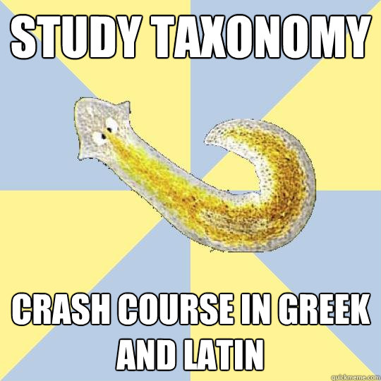 study taxonomy Crash course in Greek and Latin  Bio Major Planarian