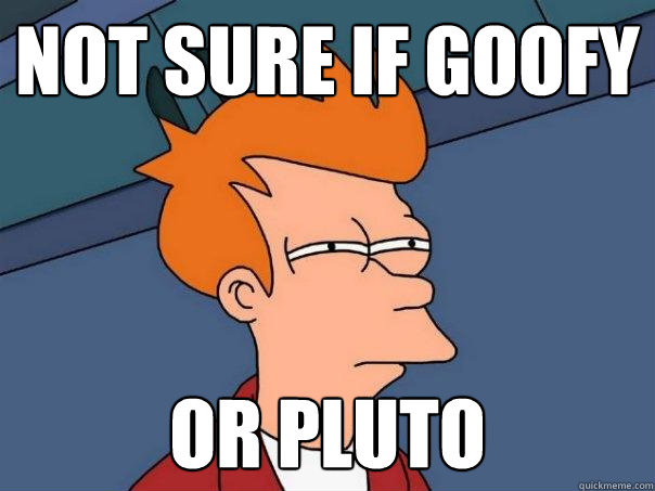 not sure if goofy or pluto  Futurama Fry