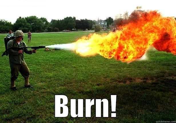 You just got Burned -  BURN! Misc