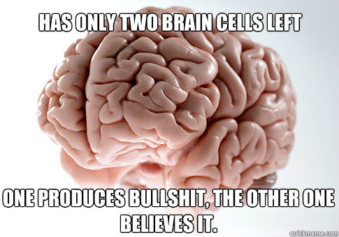 Has only two brain cells left One produces bullshit, the other one believes it.  Scumbag Brain
