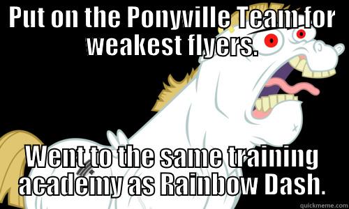 PUT ON THE PONYVILLE TEAM FOR WEAKEST FLYERS. WENT TO THE SAME TRAINING ACADEMY AS RAINBOW DASH. Misc