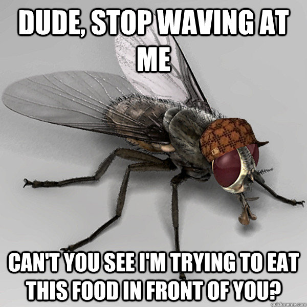 Dude, stop waving at me Can't you see i'm trying to eat this food in front of you?  