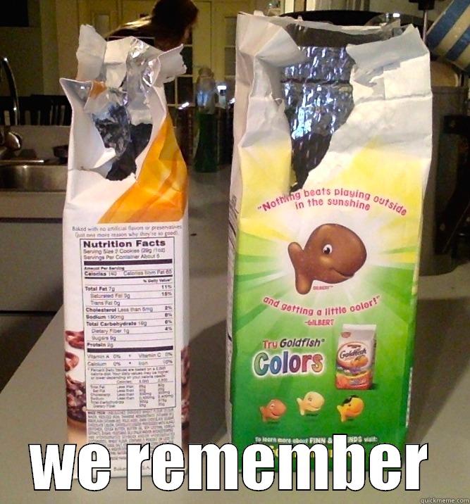  WE REMEMBER Misc