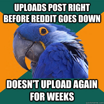 uploads post right before reddit goes down doesn't upload again for weeks  Paranoid Parrot