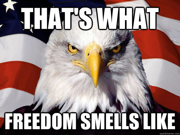 That's what Freedom smells like  Evil American Eagle