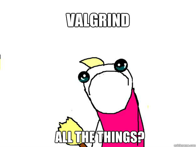 Valgrind All the things?  All the things sad