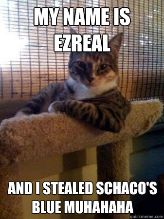 my name is ezreal And i stealed schaco's blue muhahaha  The Most Interesting Cat in the World
