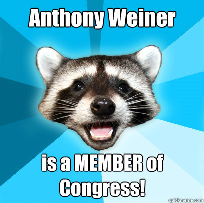 Anthony Weiner is a MEMBER of Congress!  Lame Pun Coon