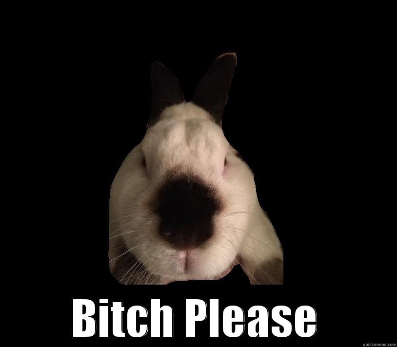  BITCH PLEASE Misc