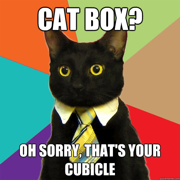 cat box? oh sorry, that's your cubicle  Business Cat