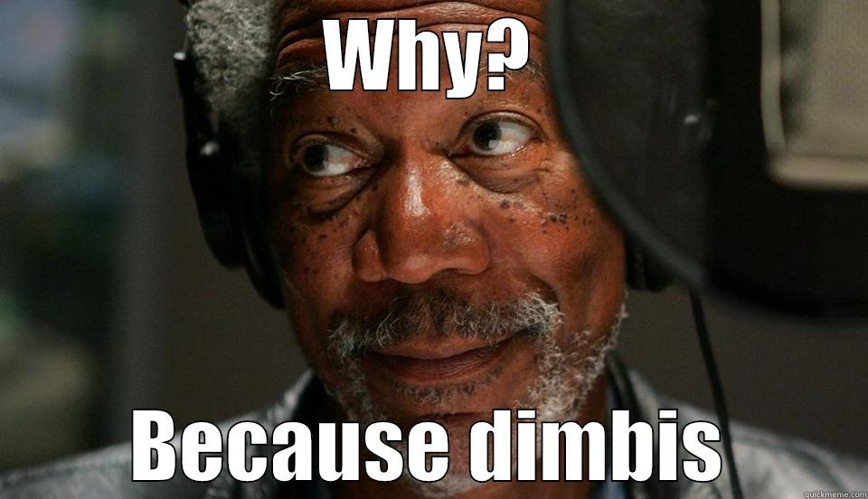 WHY? BECAUSE DIMBIS Misc