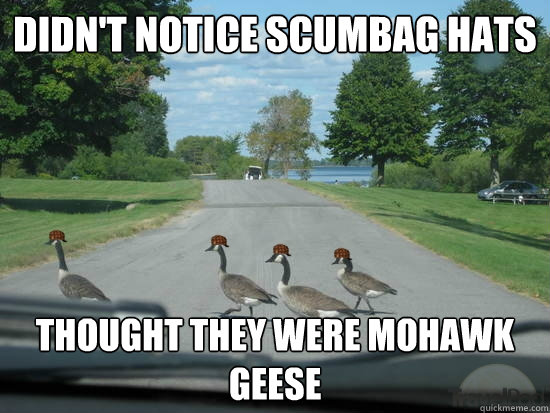 Didn't notice scumbag hats thought they were mohawk geese  Scumbag Geese