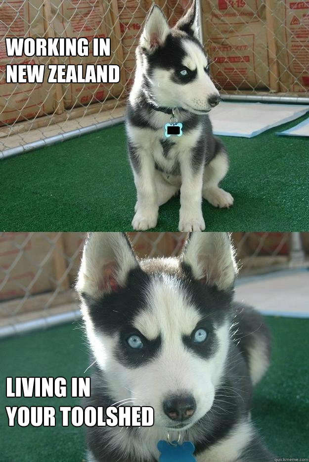 working in
new zealand living in
your toolshed  Insanity puppy