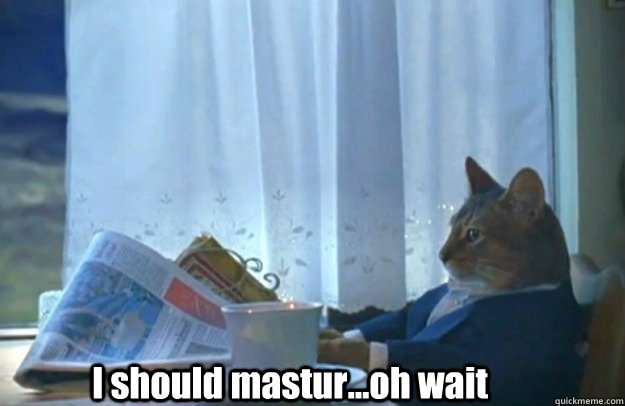 I should mastur...oh wait  Sophisticated Cat is broke