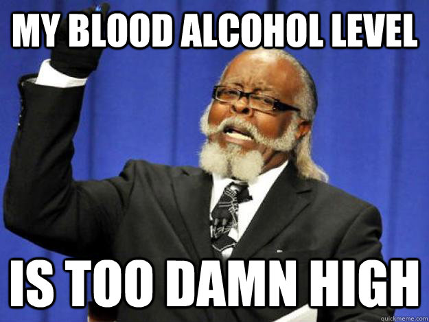 My blood alcohol level is too damn high  Toodamnhigh