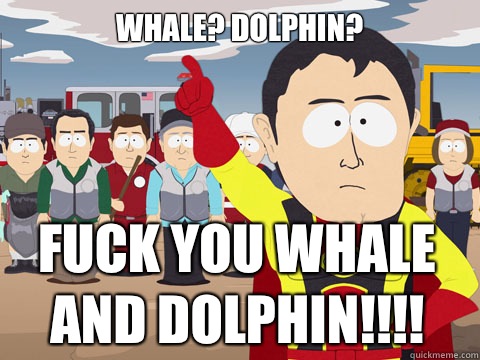 whale? dolphin? fuck you whale and dolphin!!!!  Captain Hindsight