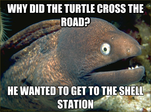 Why did the turtle cross the road? He wanted to get to the shell station - Why did the turtle cross the road? He wanted to get to the shell station  Bad Joke Eel