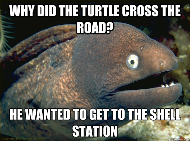 Why did the turtle cross the road? He wanted to get to the shell station  Bad Joke Eel