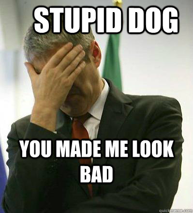 Stupid Dog you made me look bad  Prime Minister Facepalmer