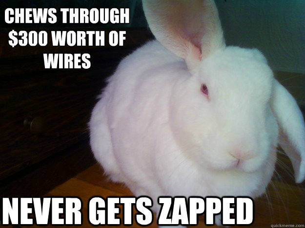 chews through $300 worth of wires never gets zapped - chews through $300 worth of wires never gets zapped  Not-So-Innocent Rabbit