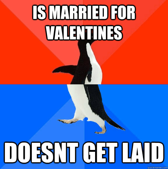 Is Married for valentines doesnt get laid  Socially Awesome Awkward Penguin