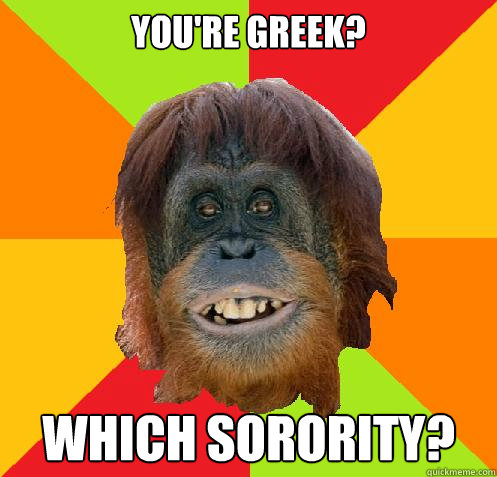 You're Greek? Which sorority?  Culturally Oblivious Orangutan