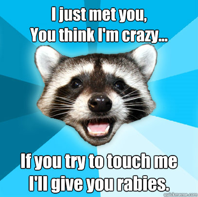 I just met you,
You think I'm crazy... If you try to touch me
I'll give you rabies.  Lame Pun Coon