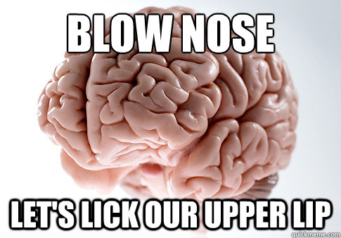 blow nose let's lick our upper lip  ScumbagBrain