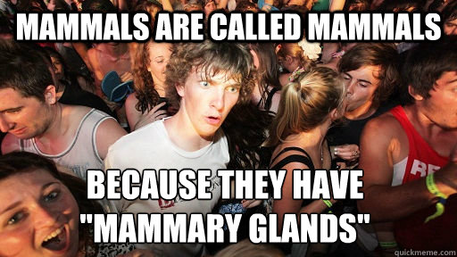Mammals are called mammals Because they have 