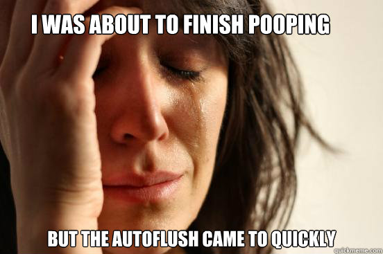 I was about to finish pooping but the autoflush came to quickly  First World Problems
