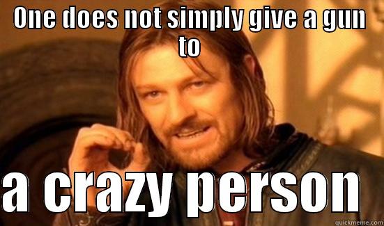 crazy people guns - ONE DOES NOT SIMPLY GIVE A GUN TO  A CRAZY PERSON  Boromir