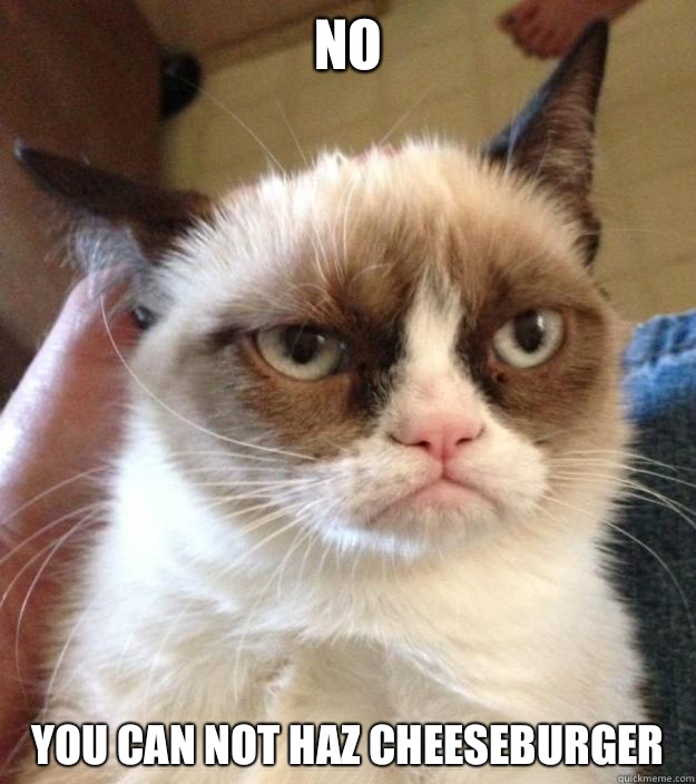 No You can not haz cheeseburger  - No You can not haz cheeseburger   Misc