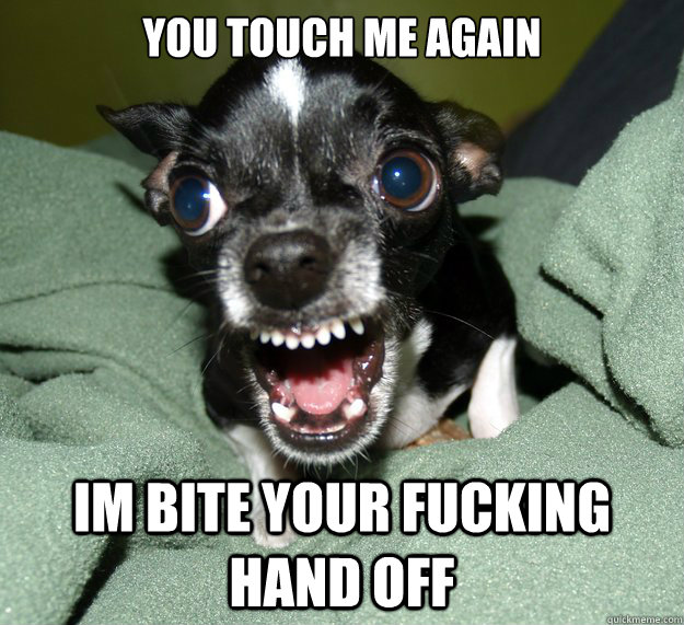 You touch me again Im bite your fucking hand off  Chihuahua Logic