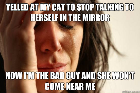 yelled at my cat to stop talking to herself in the mirror now i'm the bad guy and she won't come near me  First World Problems