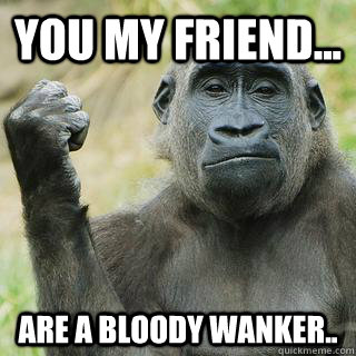 You my friend... are a bloody wanker.. - You my friend... are a bloody wanker..  Condescending Monkey