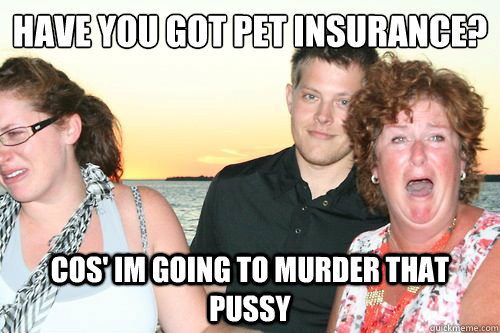 Have you got pet insurance?
 cos' im going to murder that pussy  