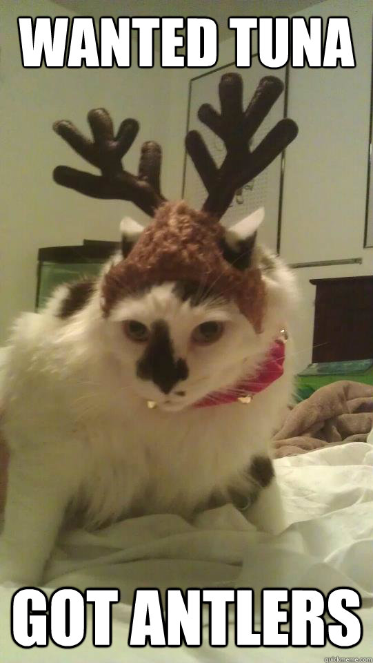 Wanted TUNA GOT ANTLERS  Disappointed Christmas Cat