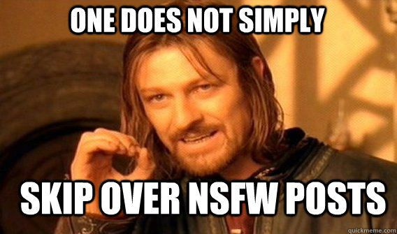 One does not simply Skip over NSFW posts - One does not simply Skip over NSFW posts  Boromirmod