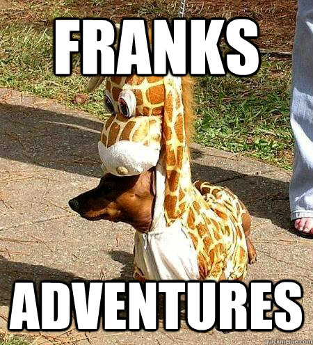 Franks adventures  