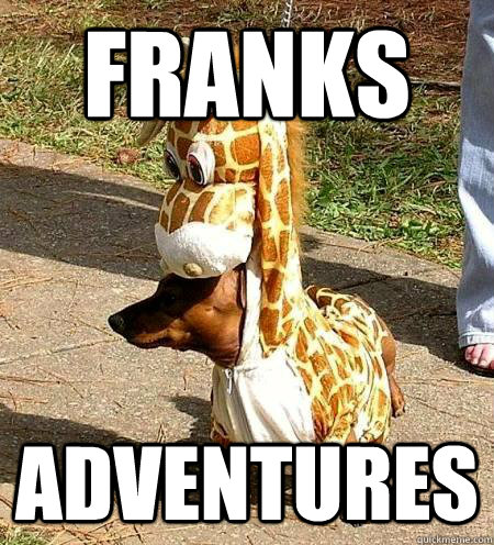 Franks adventures  Franks Adventures