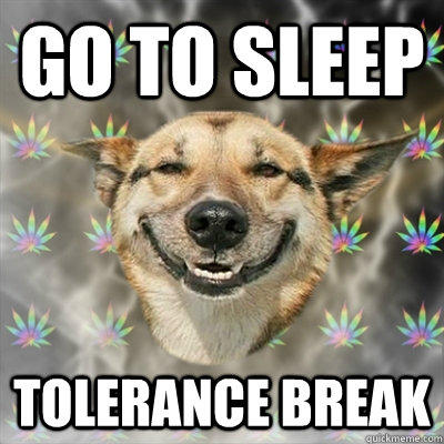 Go to sleep Tolerance Break  Stoner Dog