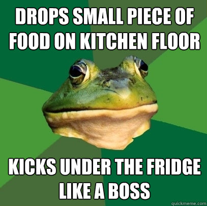 Drops small piece of food on kitchen floor Kicks under the fridge like a boss  Foul Bachelor Frog