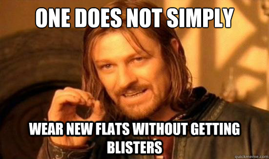 One Does Not Simply wear new flats without getting blisters  Boromir
