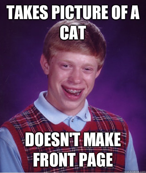 Takes picture of a cat Doesn't make front page  Bad Luck Brian
