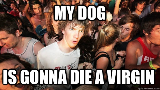 MY DOG IS GONNA DIE A VIRGIN  Sudden Clarity Clarence