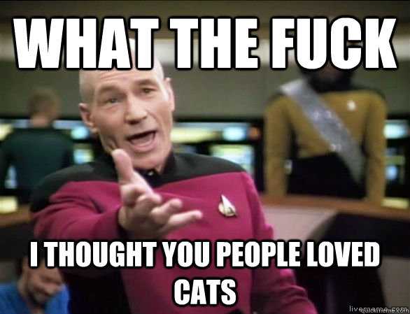 What the fuck I thought you people loved cats  Annoyed Picard HD