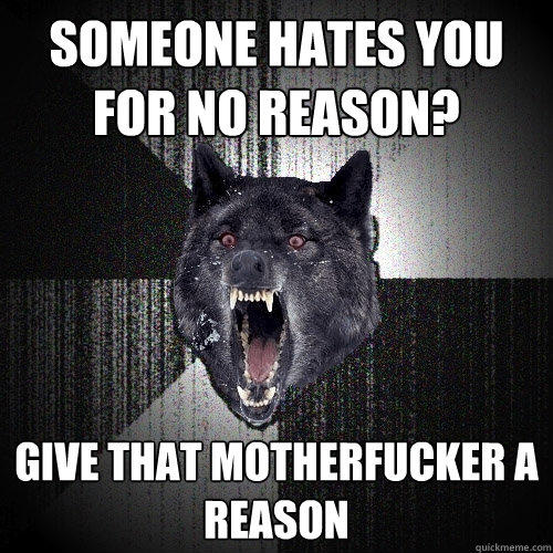 someone hates you for no reason? give that motherfucker a reason - someone hates you for no reason? give that motherfucker a reason  Insanity Wolf