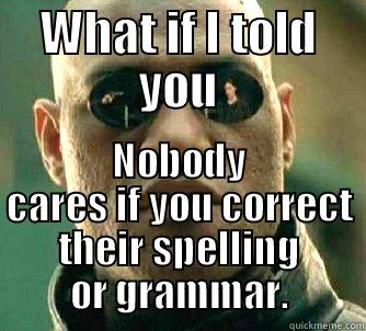WHAT IF I TOLD YOU NOBODY CARES IF YOU CORRECT THEIR SPELLING OR GRAMMAR. Matrix Morpheus