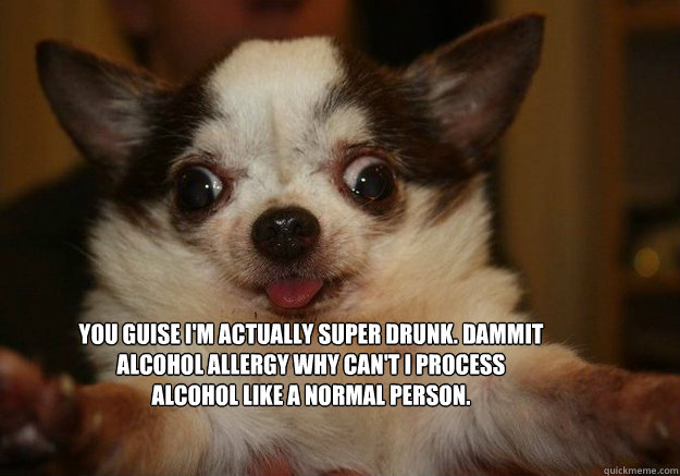 You guise I'm actually super drunk. Dammit alcohol allergy why can't I process alcohol like a normal person.

 - You guise I'm actually super drunk. Dammit alcohol allergy why can't I process alcohol like a normal person.

  retarded dog